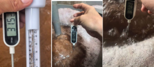 ARTEMIA QUALITY PROBLEM SOLVE