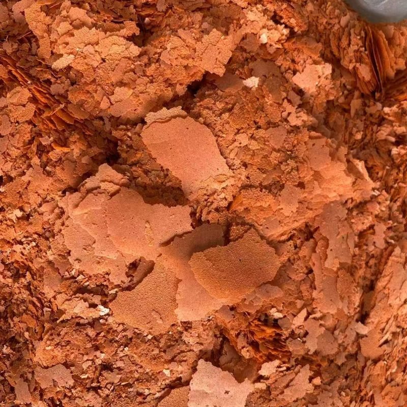 Shrimp Flake